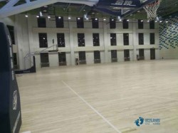 单龙骨篮球场馆地板保养
