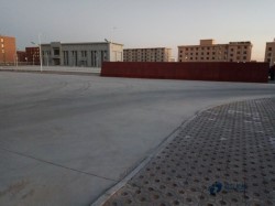 25صذϺõЩ