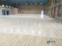 �����˶��͵ذ��ĸ����ӱȽϺ�